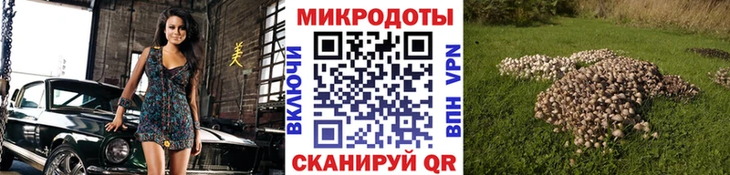 Псилоцибиновые грибы Psilocybine cubensis  Яблоновский 